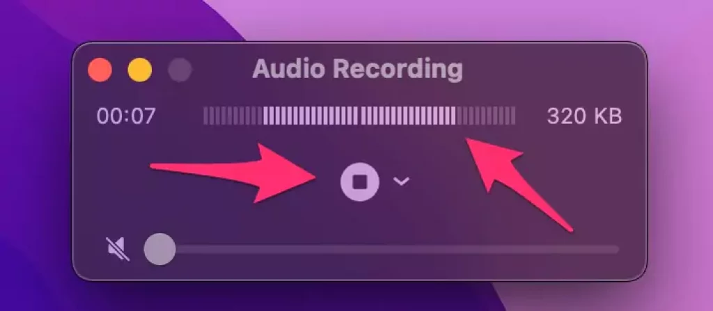 internal-recording-started-on-mac